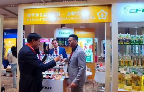 中俄深化戰(zhàn)略協(xié)作 普京確認訪華推動經貿合作新篇章